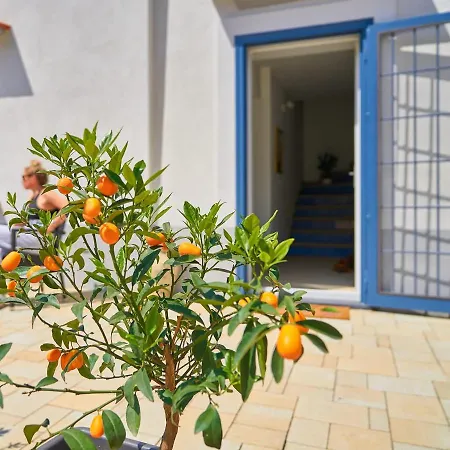 Dream House 1 Daire *